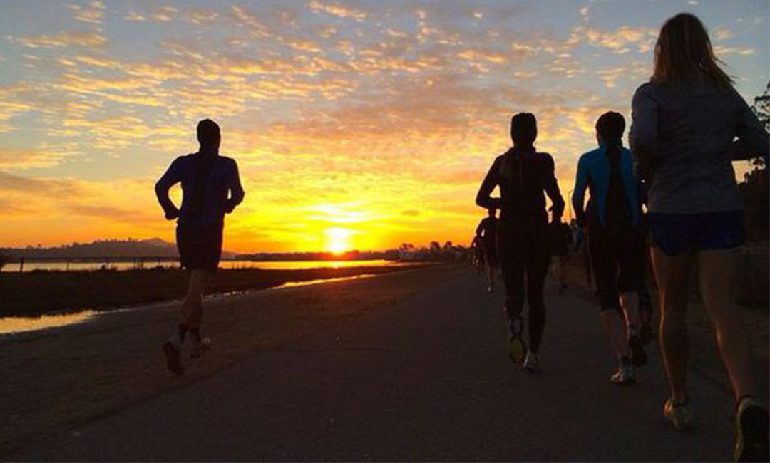 南开计步器问答案例